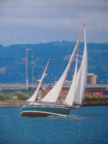 Cutter-rigged sailboat Pincoya flying yankee and staysail