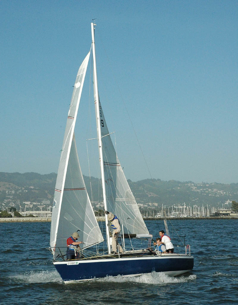 Dyneema-reinforced cruising laminate (Hydra Net / similar scrim laminates) product photo